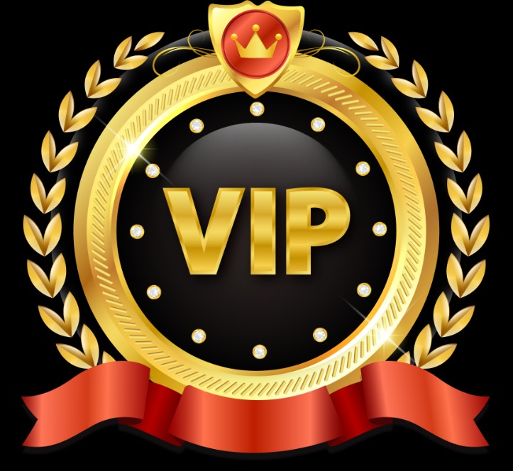 VIP escorts service